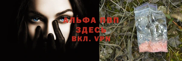 амф Елизово
