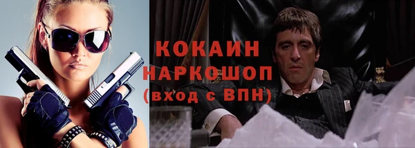 прущий лед Ельня