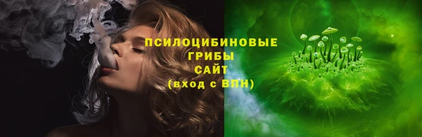 прущий лед Ельня