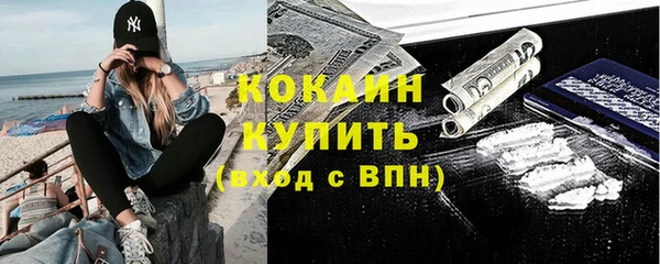 прущий лед Ельня