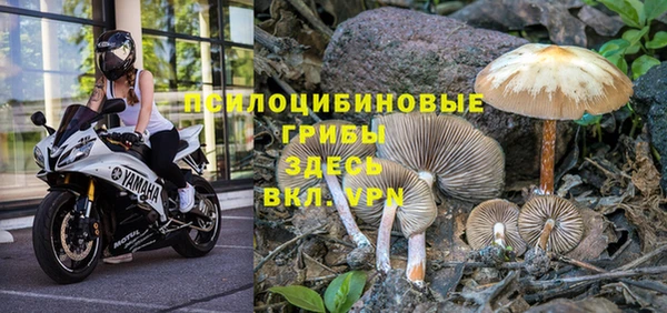 амф Елизово