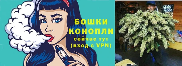 прущий лед Ельня