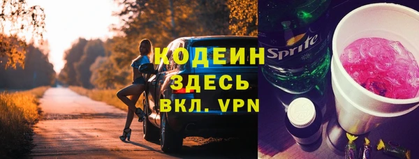 амф Елизово