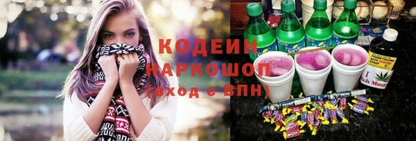 прущий лед Ельня