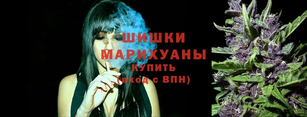 амф Елизово